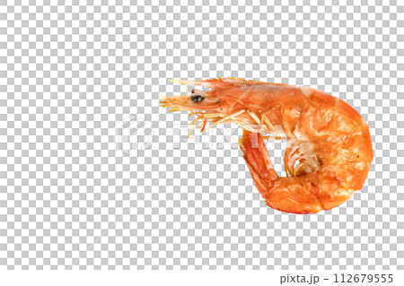 roasted prawn isolated, grilled shrimp roasted prawn isolated, grilled shrimp 112679555