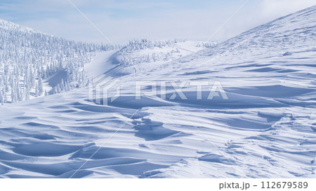 冬の森吉山　美しいシュカブラと樹氷群　秋田県 112679589