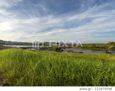 新緑に覆われた夏の大和川と柏原堰堤の風景 112679596