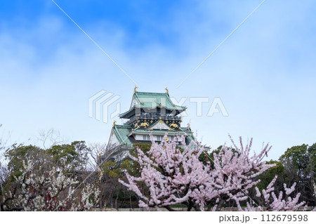 青空バックに見る城の天守閣と満開の梅のコラボ情景 112679598