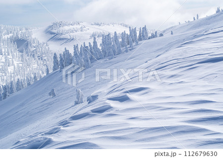 冬の森吉山　美しいシュカブラと樹氷群　秋田県 112679630