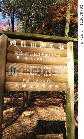 播磨の小京都たつの市の国の重要伝統的建造物群保存地区にある紅葉谷、竜野公園 112679792