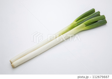 白ねぎ 112679887