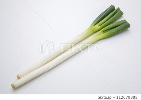白ねぎ 白ねぎ 112679888