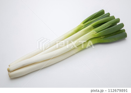 白ねぎ 112679891