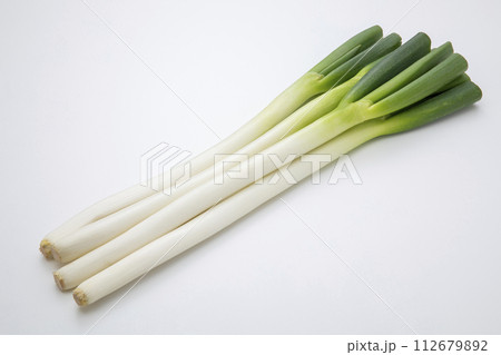 白ねぎ 白ねぎ 112679892