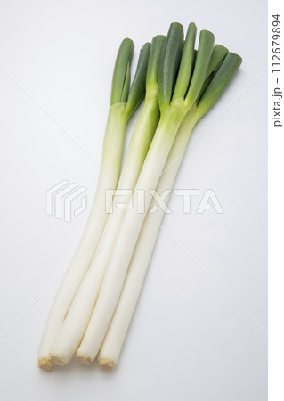 白ねぎ 白ねぎ 112679894