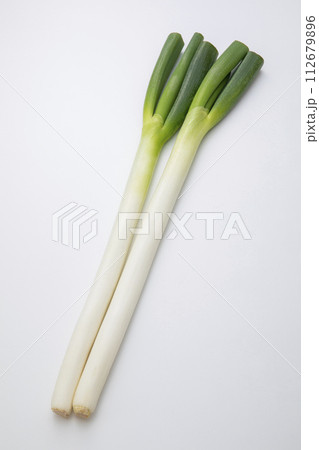 白ねぎ 112679896