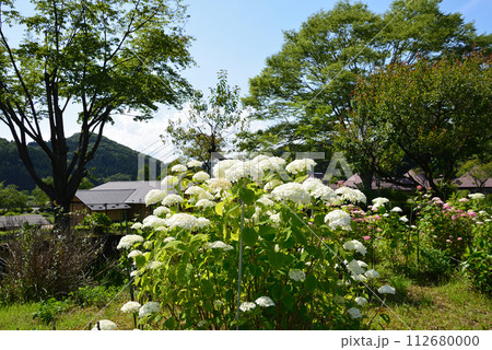 白河関の森公園　2023-7-2　＃22 112680000