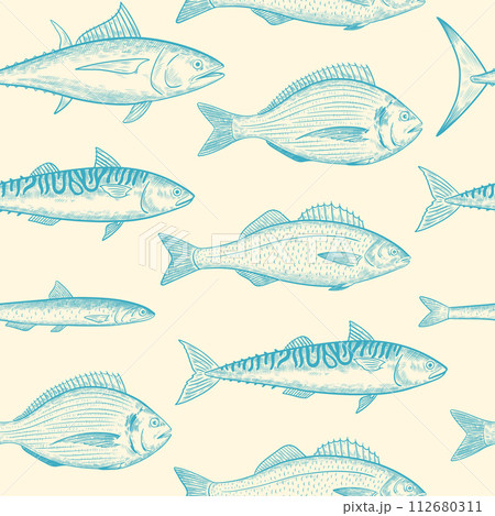 Seamless pattern with sea fishes species. Seafood fish. Vector illustration in retro engraving style. 112680311