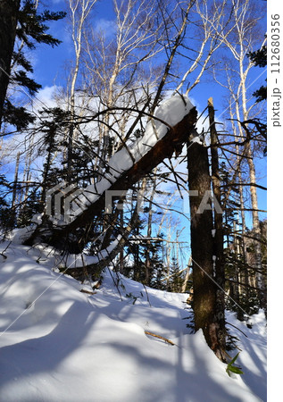 Lake Shikaribetsu is located in Tokachi subprefecture, Eastern Hokkaido, Japan. It hidden up deep in the Daisetsuzan mountains in the middle of the Shikaribetsu volcanic group at an elevation of 810 112680356
