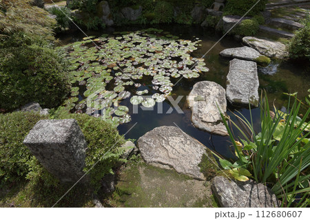 実光院　庭園の池　京都市左京区大原 112680607