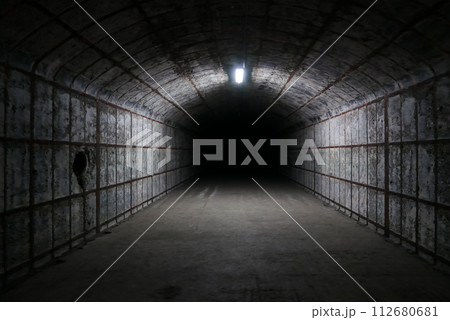 Amami Oshima is the largest island in the Satsunan island chain that runs between Kyushu and Okinawa and belongs to Kagoshima Prefecture. Amami Oshima is the largest island in the Satsunan island chain that runs between Kyushu and Okinawa and belongs to Kagoshima Prefecture. 112680681