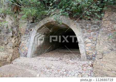 Amami Oshima is the largest island in the Satsunan island chain that runs between Kyushu and Okinawa and belongs to Kagoshima Prefecture.  112680719