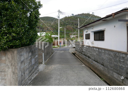 Amami Oshima is the largest island in the Satsunan island chain that runs between Kyushu and Okinawa and belongs to Kagoshima Prefecture. Amami Oshima is the largest island in the Satsunan island chain that runs between Kyushu and Okinawa and belongs to Kagoshima Prefecture. 112680868