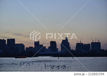 【東京】お台場の街並み夕景 112681594