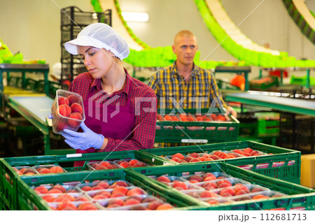European Woman and man working European Woman and man working 112681713