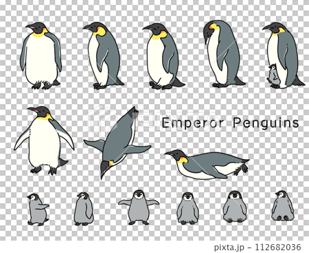 手繪帝企鵝插畫集 112682036