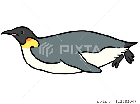 泳ぐ皇帝ペンギンのイラスト 112682047