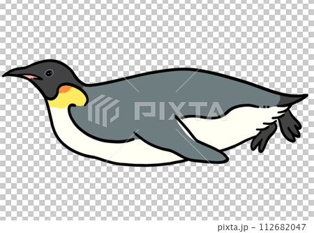 泳ぐ皇帝ペンギンのイラスト 112682047