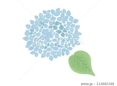 水彩風の水色の紫陽花のイラスト 112682188