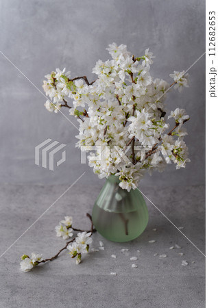 花瓶に生けた桜の花 112682653