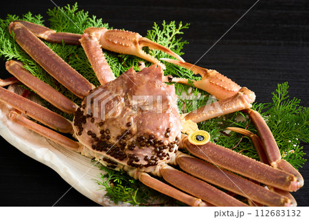 福井県産、活越前蟹 112683132