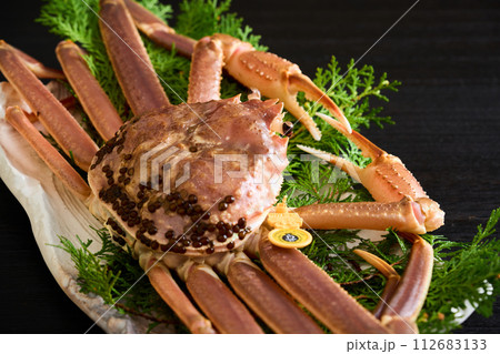 福井県産、活越前蟹 112683133