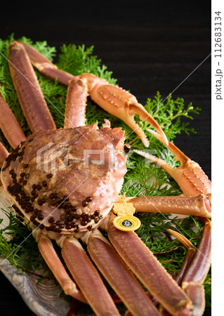 福井県産、活越前蟹 112683134