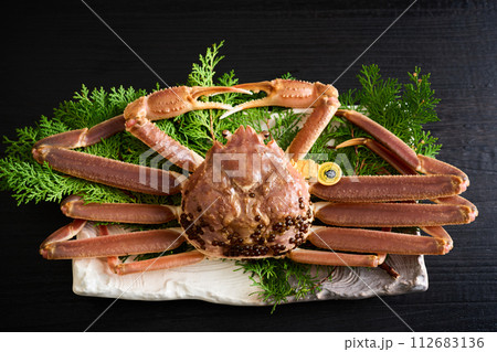 福井県産、活越前蟹 112683136