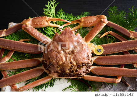 福井県産、活越前蟹 112683142