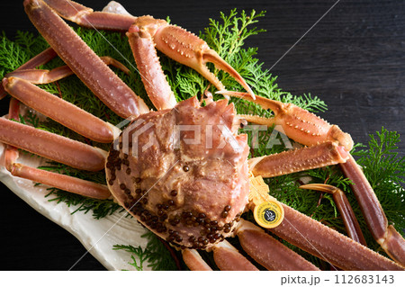 福井県産、活越前蟹 112683143