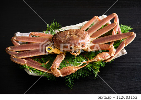 福井県産、活越前蟹 112683152