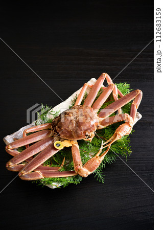 福井県産、活越前蟹 112683159