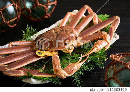 福井県産、活越前蟹 112683166