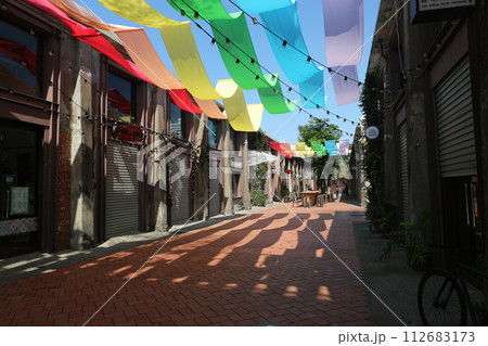 台湾 大義倉庫と旗 台湾 大義倉庫と旗 112683173