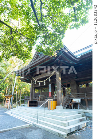 浜松八幡宮　社殿 112683242