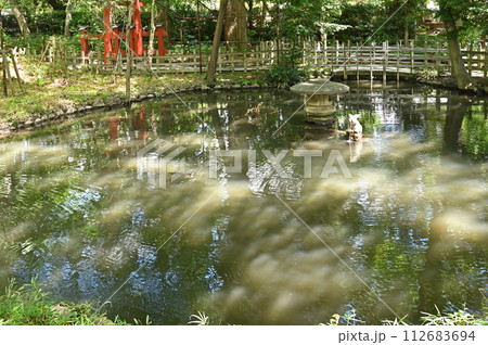浦和宿散歩 中山道浦和宿・神池　神池の兎　調神社（つきじんじゃ） 112683694