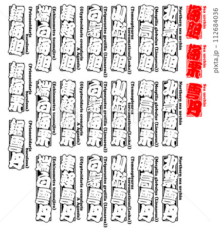 海胆 ウニ うに Uni Sea urchin 英語 2 112684036