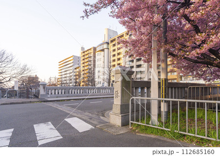 春の京都 一条戻橋の河津桜 春の京都 一条戻橋の河津桜 112685160