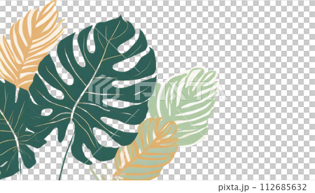 帶有深凹口的龜背竹葉的插圖 112685632