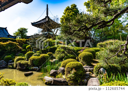 【西国三十三所】第二十一番　穴生寺　初夏の円応院庭園　京都府亀岡市 112685744