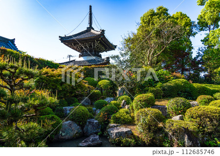 【西国三十三所】第二十一番　穴生寺　初夏の円応院庭園　京都府亀岡市 112685746