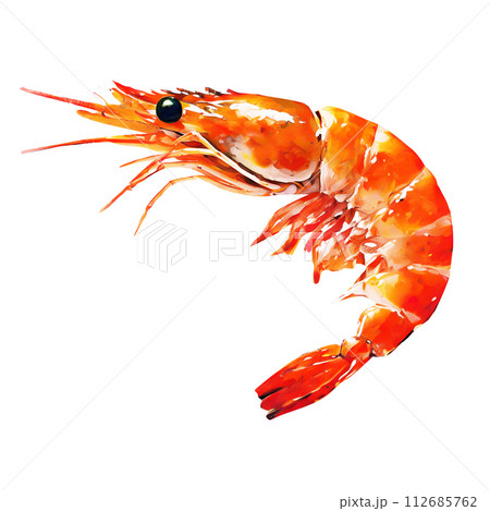 リアルなエビのイラスト リアルなエビのイラスト 112685762
