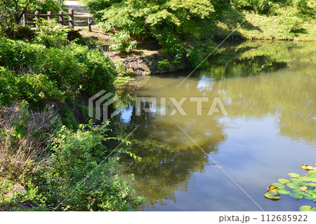 白河関の森公園 2023-7-2 #55 白河関の森公園 2023-7-2 #55 112685922