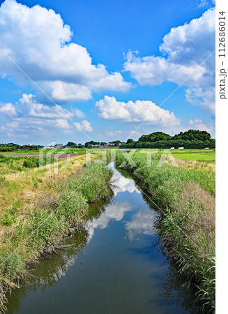 見沼田圃・加田屋新田　加田屋川　 112686014