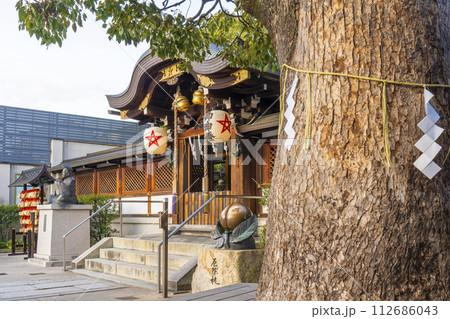 京都　晴明神社　御神木と拝殿・本殿 112686043