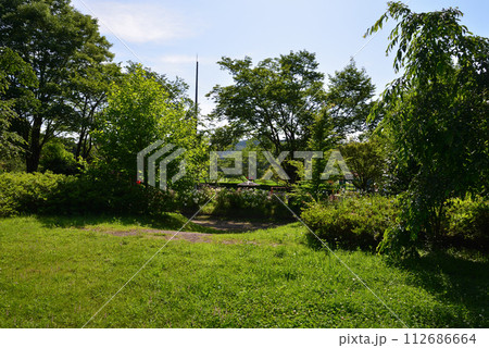 白河関の森公園 2023-7-2 #62 白河関の森公園 2023-7-2 #62 112686664
