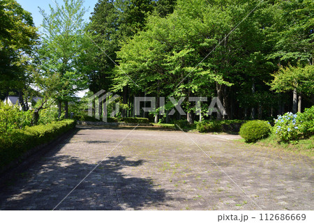 白河関の森公園 2023-7-2 #67 白河関の森公園 2023-7-2 #67 112686669