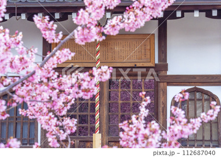 春の京都 長徳寺 地蔵堂のガラス戸に映るおかめ桜 春の京都 長徳寺 地蔵堂のガラス戸に映るおかめ桜 112687040